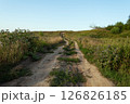 Bumpy dirt road in the meadow 126826185