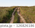 Bumpy dirt road in the meadow 126826186