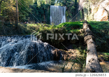 Monasterio de Piedra: Twin Waterfalls, Fallen Tree, Lush Vegetation Monasterio de Piedra: Twin Waterfalls, Fallen Tree, Lush Vegetation 126826653
