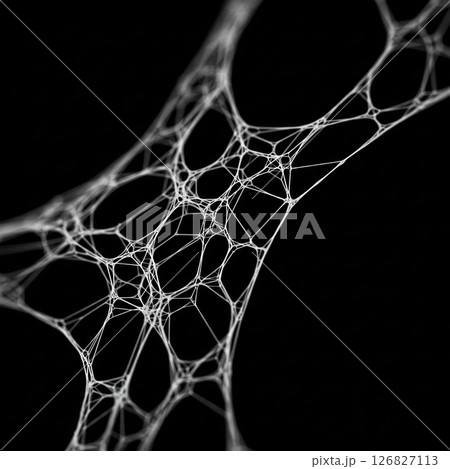 White spider web on a black background close-up. White spider web on a black background close-up. 126827113