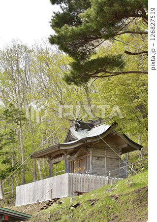 春の北海道函館市で石崎地主海神社境内の風景を撮影 126827519