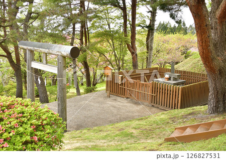 春の北海道函館市で石崎地主海神社境内の風景を撮影 春の北海道函館市で石崎地主海神社境内の風景を撮影 126827531