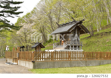 春の北海道函館市で石崎地主海神社境内の風景を撮影 126827532