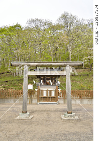 春の北海道函館市で石崎地主海神社境内の風景を撮影 126827534