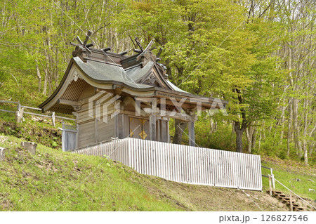春の北海道函館市で石崎地主海神社境内の風景を撮影 春の北海道函館市で石崎地主海神社境内の風景を撮影 126827546