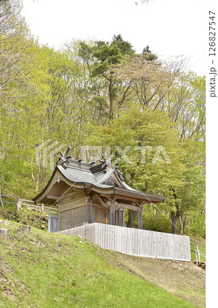 春の北海道函館市で石崎地主海神社境内の風景を撮影 126827547