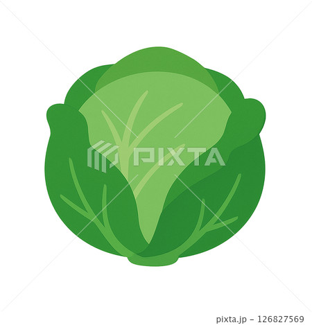 キャベツのシンプルなイラスト（野菜・緑黄色野菜） 126827569