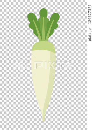 大根のフラットイラスト（冬野菜・シンプルカット） 126827573