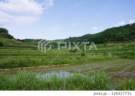 日本の岡山県美咲町の大垪和西の棚田の美しい風景 126827732