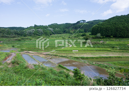 日本の岡山県美咲町の大垪和西の棚田の美しい風景 日本の岡山県美咲町の大垪和西の棚田の美しい風景 126827734
