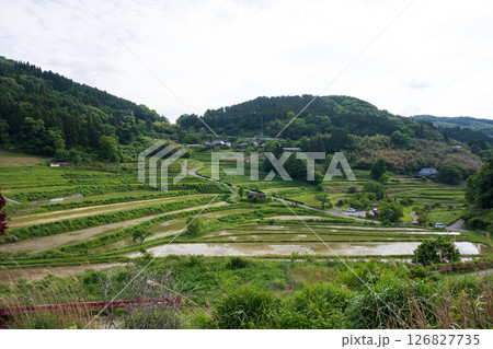 日本の岡山県美咲町の大垪和西の棚田の美しい風景 日本の岡山県美咲町の大垪和西の棚田の美しい風景 126827735
