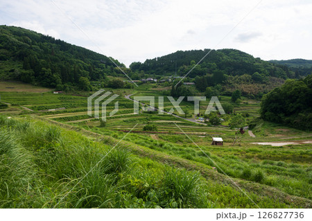 日本の岡山県美咲町の大垪和西の棚田の美しい風景 日本の岡山県美咲町の大垪和西の棚田の美しい風景 126827736