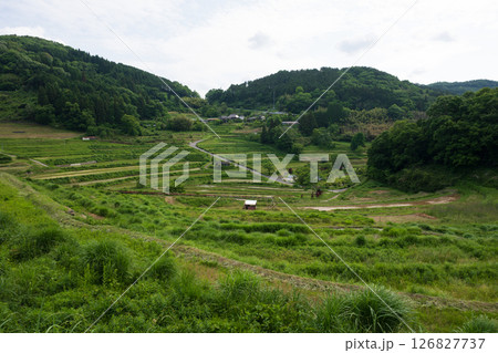 日本の岡山県美咲町の大垪和西の棚田の美しい風景 日本の岡山県美咲町の大垪和西の棚田の美しい風景 126827737