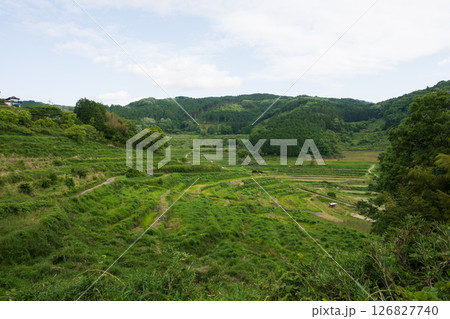 日本の岡山県美咲町の大垪和西の棚田の美しい風景 日本の岡山県美咲町の大垪和西の棚田の美しい風景 126827740