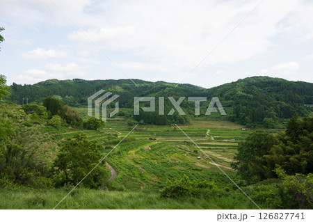 日本の岡山県美咲町の大垪和西の棚田の美しい風景 日本の岡山県美咲町の大垪和西の棚田の美しい風景 126827741