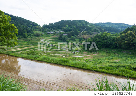日本の岡山県美咲町の大垪和西の棚田の美しい風景 日本の岡山県美咲町の大垪和西の棚田の美しい風景 126827745