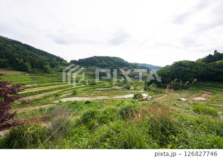 日本の岡山県美咲町の大垪和西の棚田の美しい風景 日本の岡山県美咲町の大垪和西の棚田の美しい風景 126827746