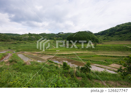 日本の岡山県美咲町の大垪和西の棚田の美しい風景 日本の岡山県美咲町の大垪和西の棚田の美しい風景 126827747