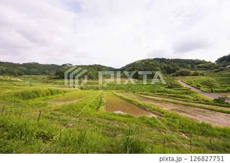 日本の岡山県美咲町の大垪和西の棚田の美しい風景 日本の岡山県美咲町の大垪和西の棚田の美しい風景 126827751