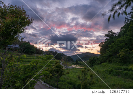 日本の岡山県美咲町の大垪和西の棚田の美しい風景 日本の岡山県美咲町の大垪和西の棚田の美しい風景 126827753