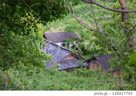 日本の岡山県美咲町の大垪和西の古くてとても美しい建物 126827793
