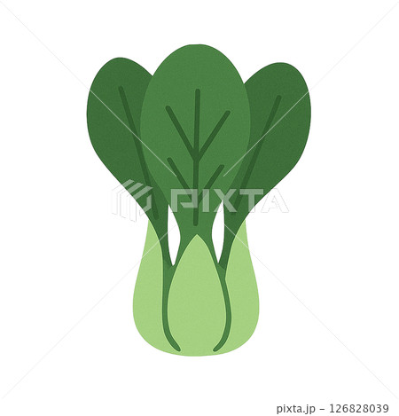 チンゲンサイのシンプルなフラットイラスト（青梗菜・野菜） 126828039