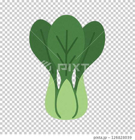 チンゲンサイのシンプルなフラットイラスト（青梗菜・野菜） 126828039