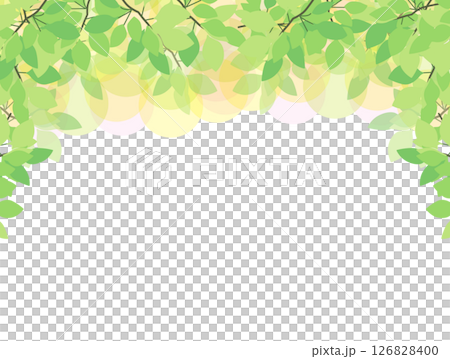 葉っぱ 126828400