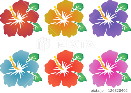 ハイビスカス 126828402