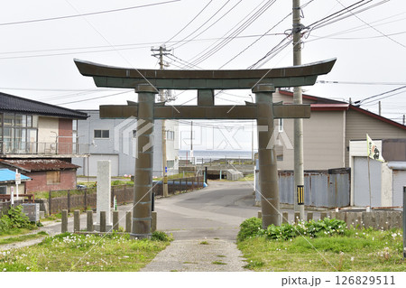春の北海道函館市で石崎八幡神社境内の風景を撮影 春の北海道函館市で石崎八幡神社境内の風景を撮影 126829511