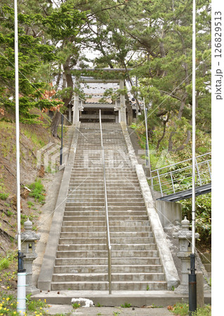 春の北海道函館市で石崎八幡神社境内の風景を撮影 126829513