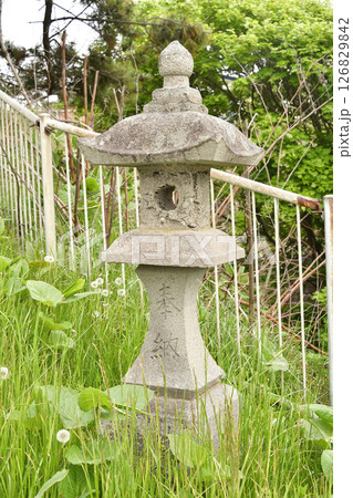 春の北海道函館市で川濯神社境内の風景を撮影 126829842