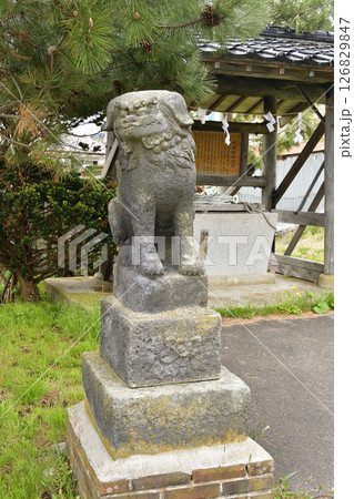 春の北海道函館市で川濯神社境内の風景を撮影 春の北海道函館市で川濯神社境内の風景を撮影 126829847