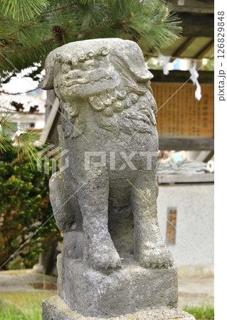 春の北海道函館市で川濯神社境内の風景を撮影 126829848