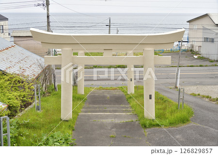 春の北海道函館市で川濯神社境内の風景を撮影 春の北海道函館市で川濯神社境内の風景を撮影 126829857