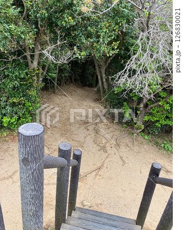 糸島　高台からの景色 126830021