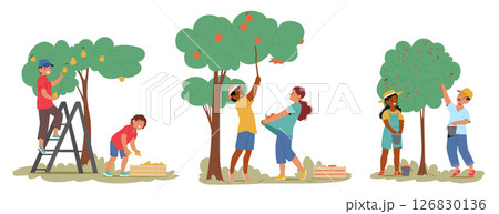 Little children characters plucking ripe pear, apricot, cherry fruits from tree cartoon scene 126830136