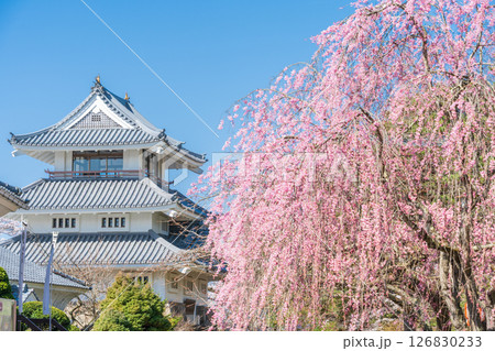 「青森県」桜咲く春の三戸城の風景 三戸町 「青森県」桜咲く春の三戸城の風景 三戸町 126830233