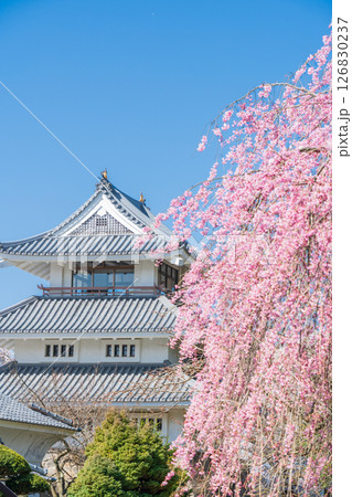 「青森県」桜咲く春の三戸城の風景　三戸町 126830237