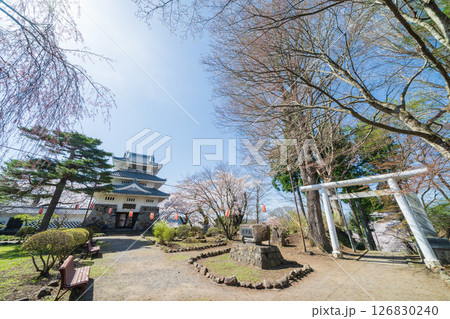 「青森県」桜咲く春の三戸城の風景　三戸町 126830240