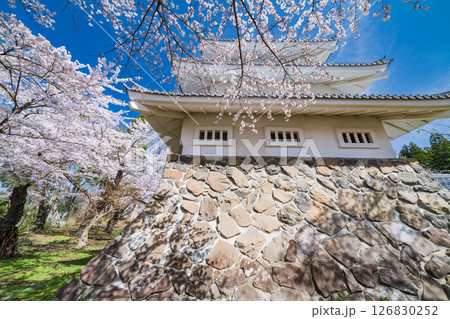 「青森県」桜咲く春の三戸城の風景 三戸町 「青森県」桜咲く春の三戸城の風景 三戸町 126830252