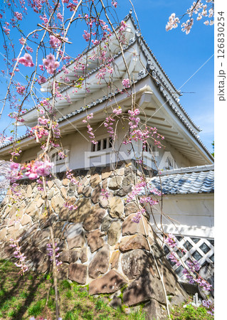 「青森県」桜咲く春の三戸城の風景 三戸町 「青森県」桜咲く春の三戸城の風景 三戸町 126830254