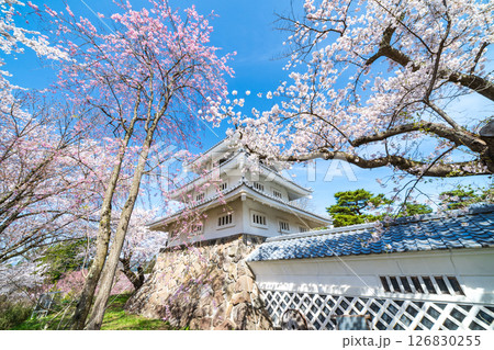 「青森県」桜咲く春の三戸城の風景 三戸町 「青森県」桜咲く春の三戸城の風景 三戸町 126830255
