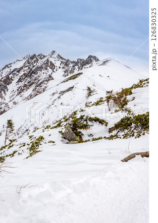 残雪西穂山荘から見る西穂高岳の峰々　残雪期の西穂高岳独標雪山登山 126830325