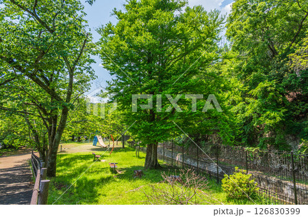 琵琶湖疏水　疏水沿いの公園　封ジ山北児童公園　京都市 126830399