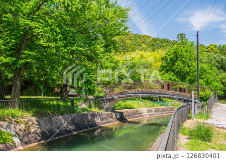 琵琶湖疏水 第一疏水 琵琶湖疏水第10号橋 山ノ谷橋 京都市 琵琶湖疏水 第一疏水 琵琶湖疏水第10号橋 山ノ谷橋 京都市 126830401