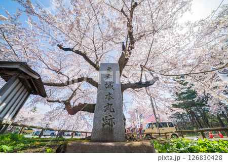 「青森県」桜咲く国史跡三戸城跡城山公園の風景 三戸町 「青森県」桜咲く国史跡三戸城跡城山公園の風景 三戸町 126830428