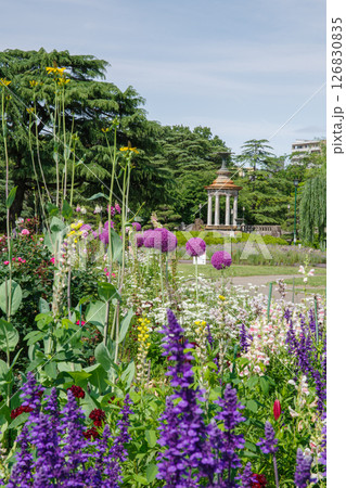 初夏の鶴舞公園（愛知県名古屋市昭和区） 126830835