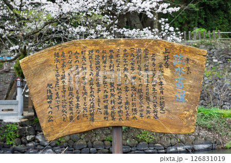 看板・案内板「豊かな田園風景の中にある神社と桜風景」(瀬田神社)大津町瀬田 126831019