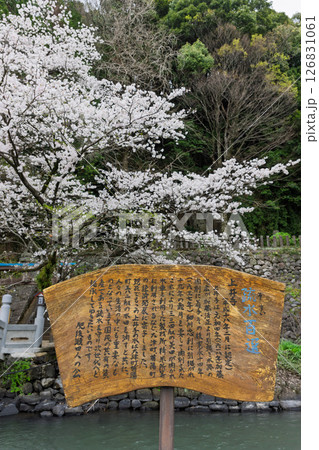 看板・案内板「豊かな田園風景の中にある神社と桜風景」(瀬田神社)大津町瀬田 126831061
